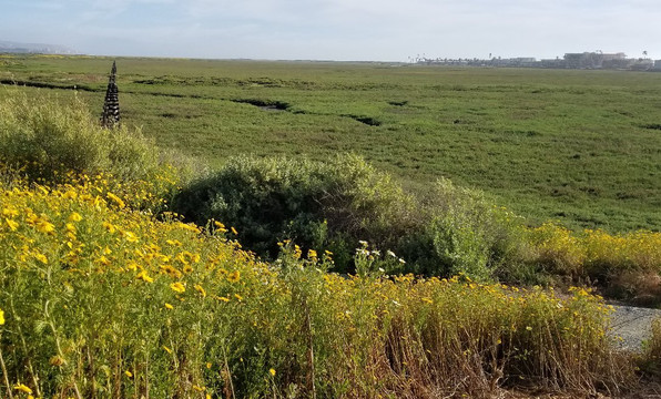 Tijuana River National Estuarine Research Reserve-Imperial Beach必去景点
