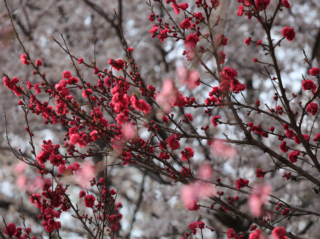 Anmingogae Pass-昌原市必去景点