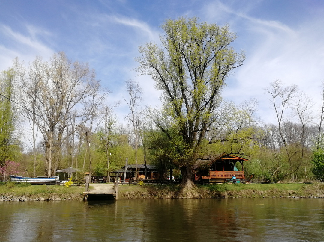 Tinek’s Ferry on the Mura River景点图片