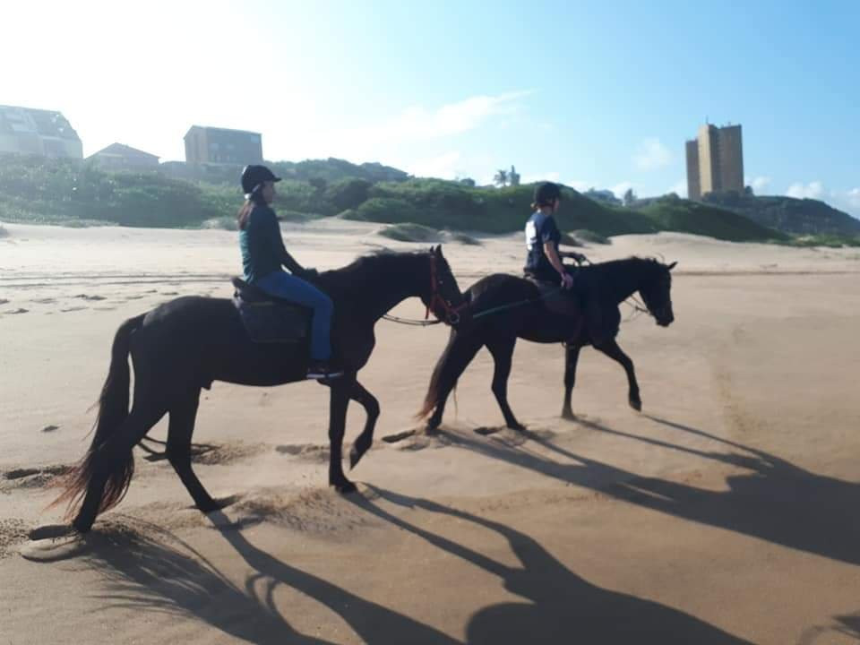Gary's Horses景点图片