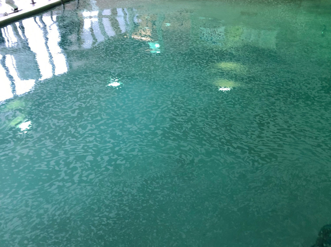 埃尔金康福特套房酒店主图