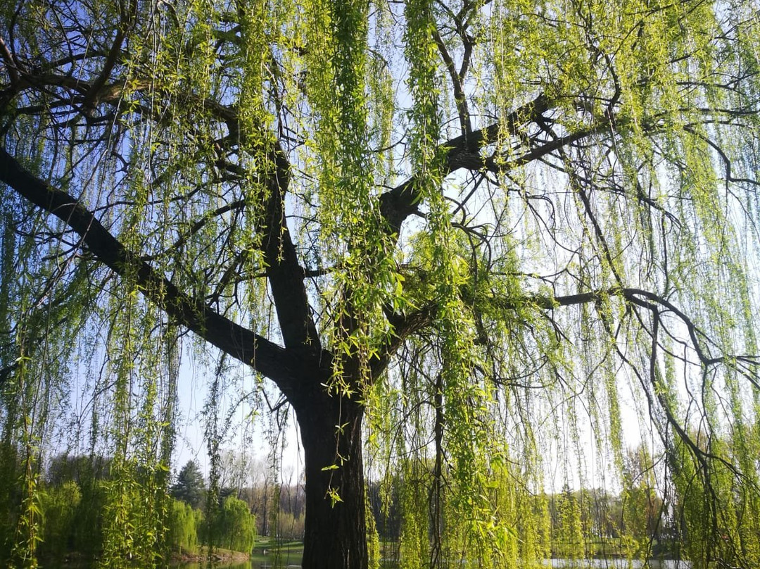 Parco Forlanini-米兰必去景点