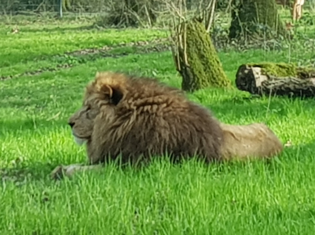 Longleat Estate-Murchison必去景点