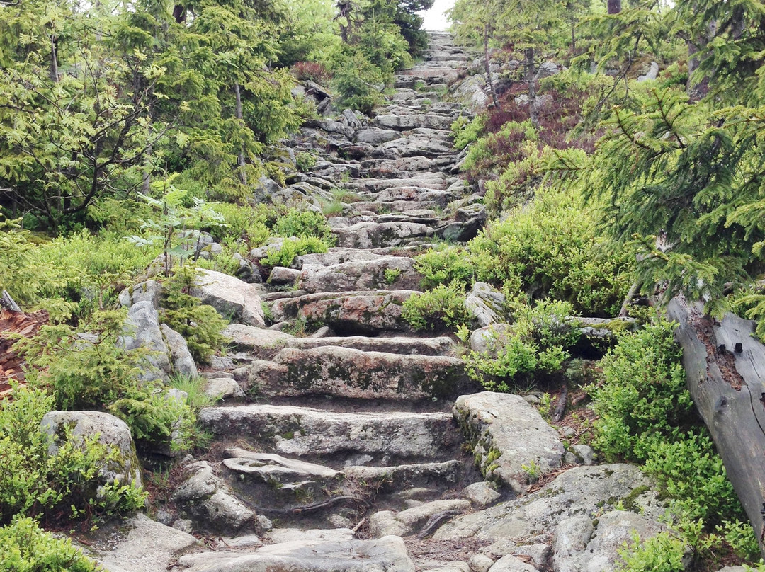 Scottish Highlander Guesthouse主图