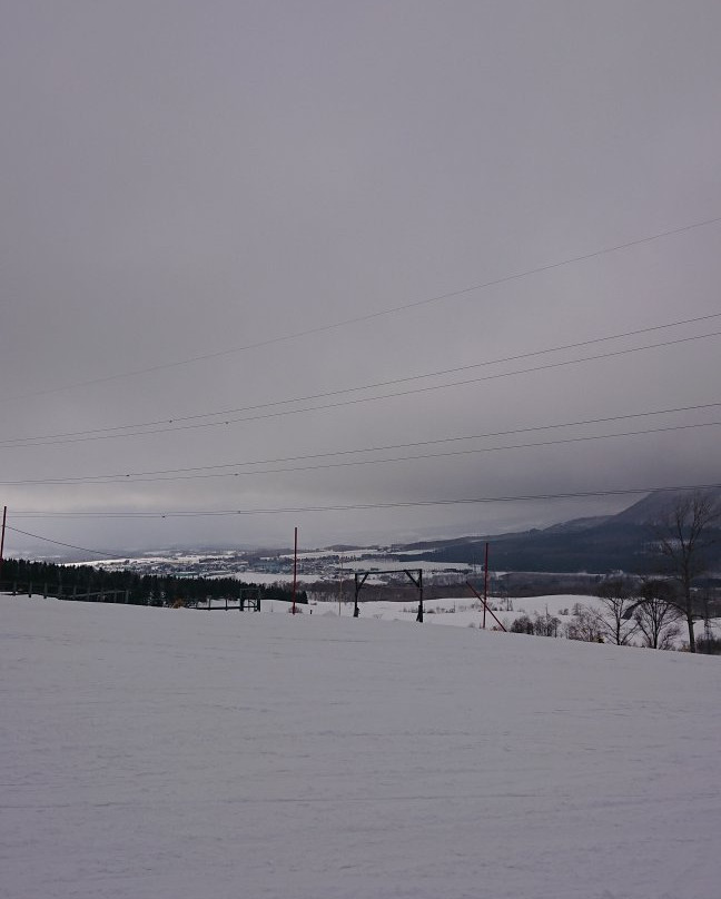 留寿都度假村滑雪场景点图片