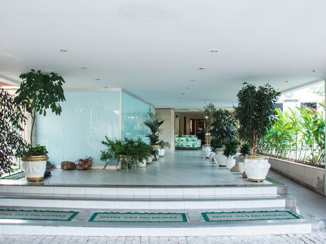 Hotel Das Palmeiras主图