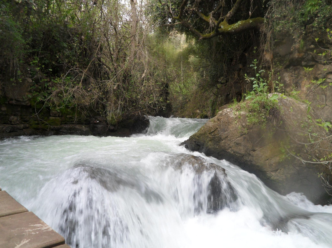 Ji- tours-耶路撒冷必去景点