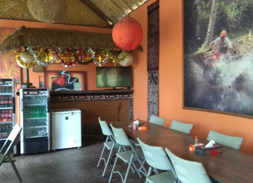 Bali Surya Adventure-佩艳艮必去景点