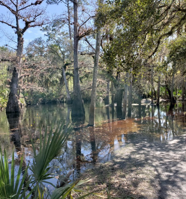 Econ River Wilderness Area-Oviedo必去景点