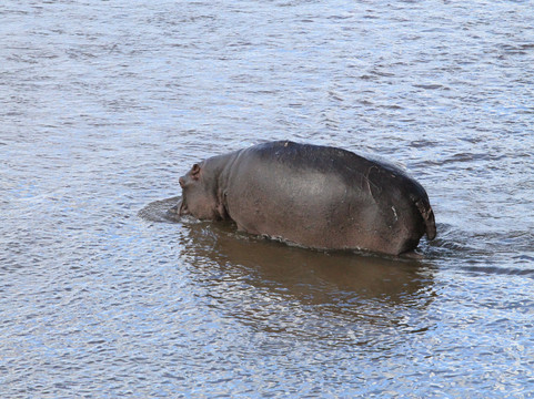 Moving On African Grounds-雾观必去景点
