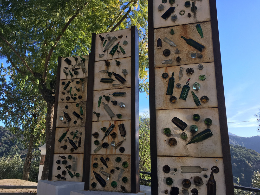 Museo de Arte Contemporaneo景点图片