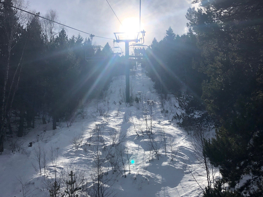 Neilson Chalet Hotel Casale主图