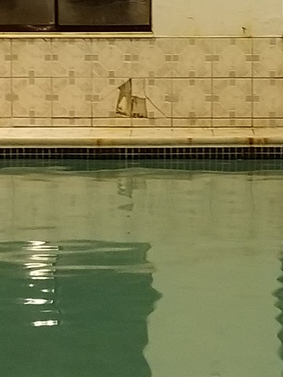 红屋顶酒店-弗林特-泳池