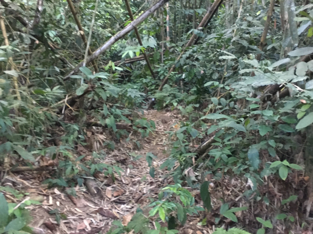 Gunung Hitam景点图片