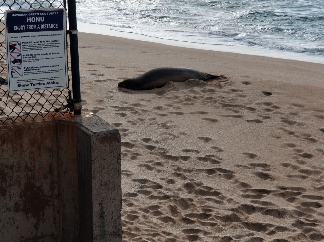 Hale Mahina Beach Resort主图