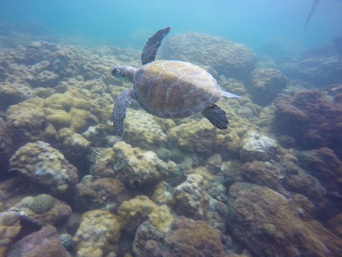 Laje de Santos-Sao Vicente必去景点