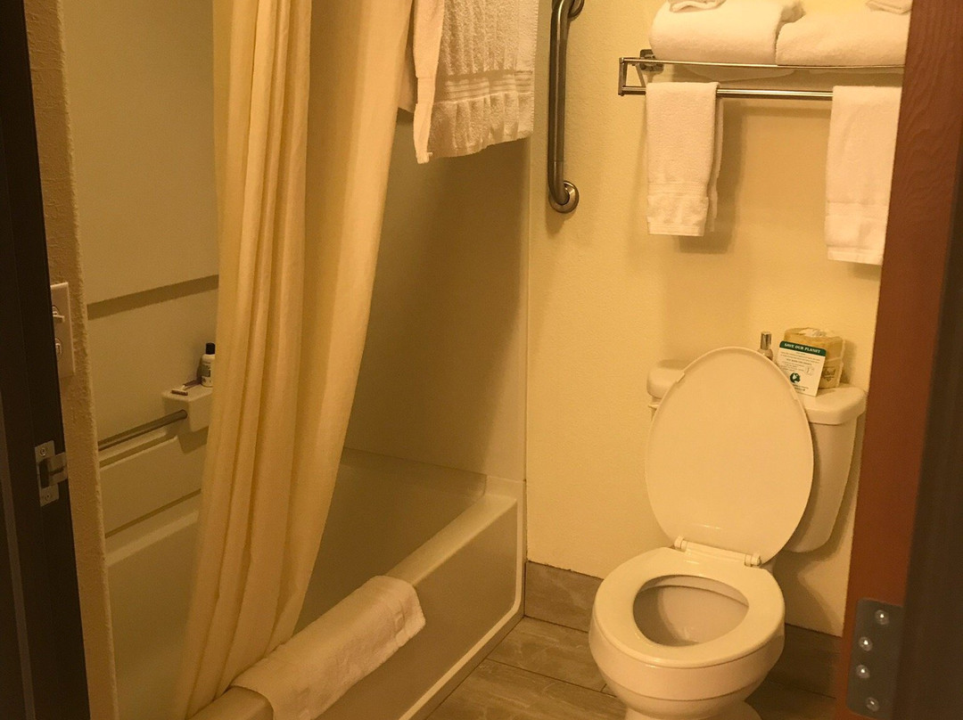 Best Western Gold Canyon Inn & Suites主图