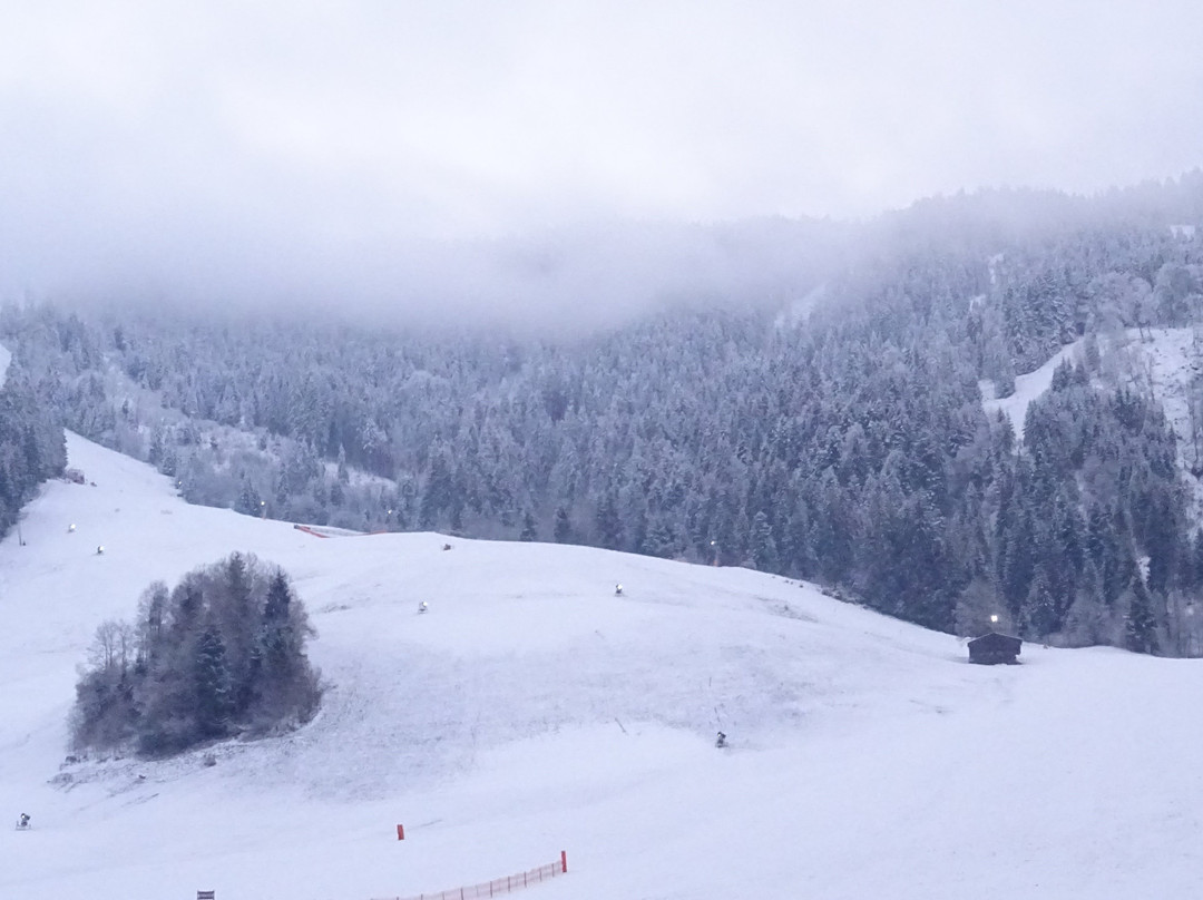 Erlebnis - Bummelbahn-尼德豪必去景点