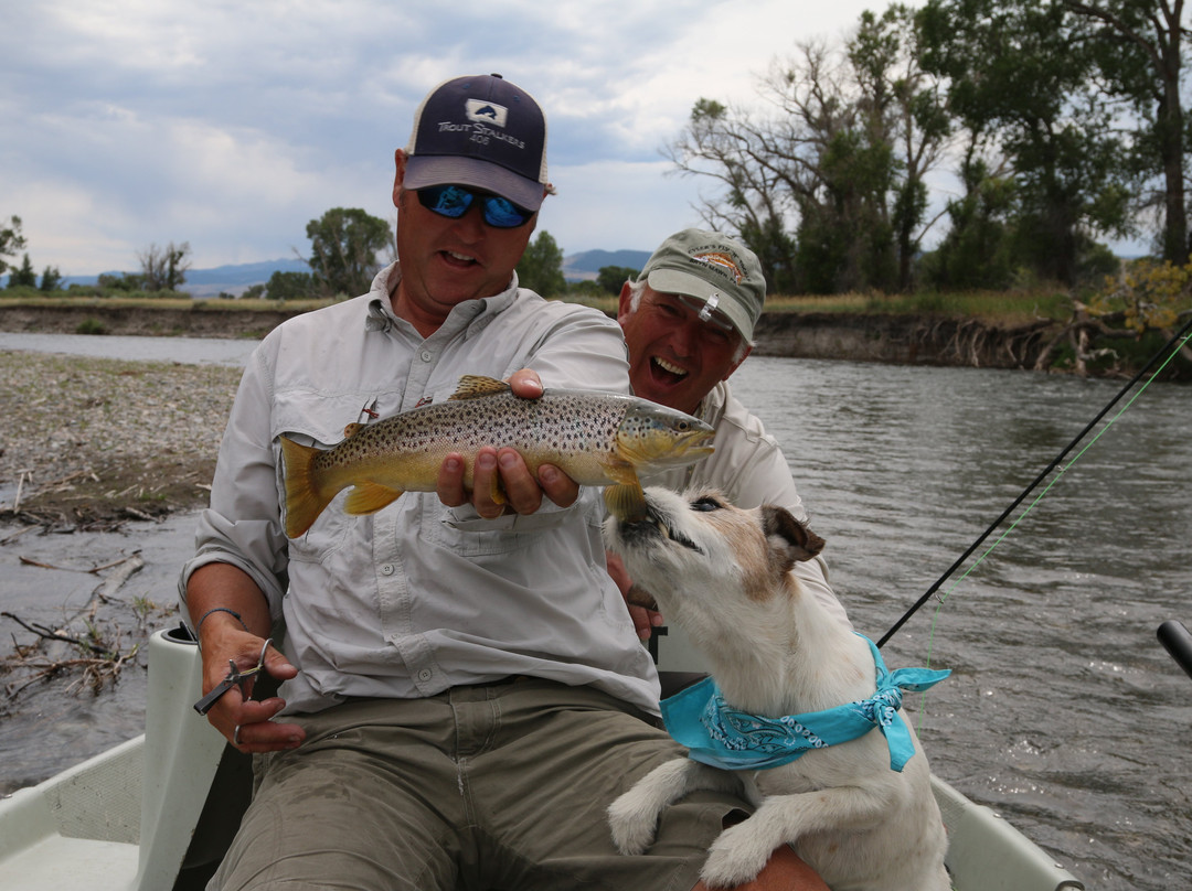 Trout Stalkers - Outfitter & Fly Shop景点图片