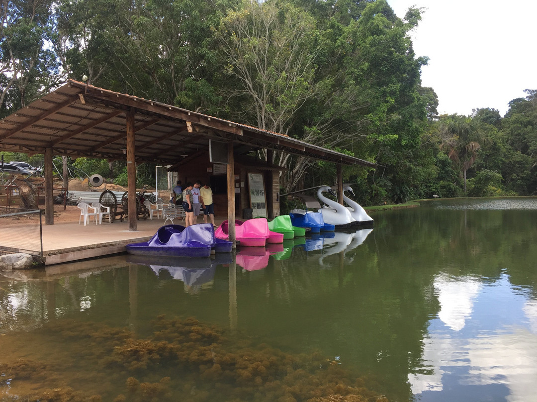 Cacoal Selva Park Hotel主图