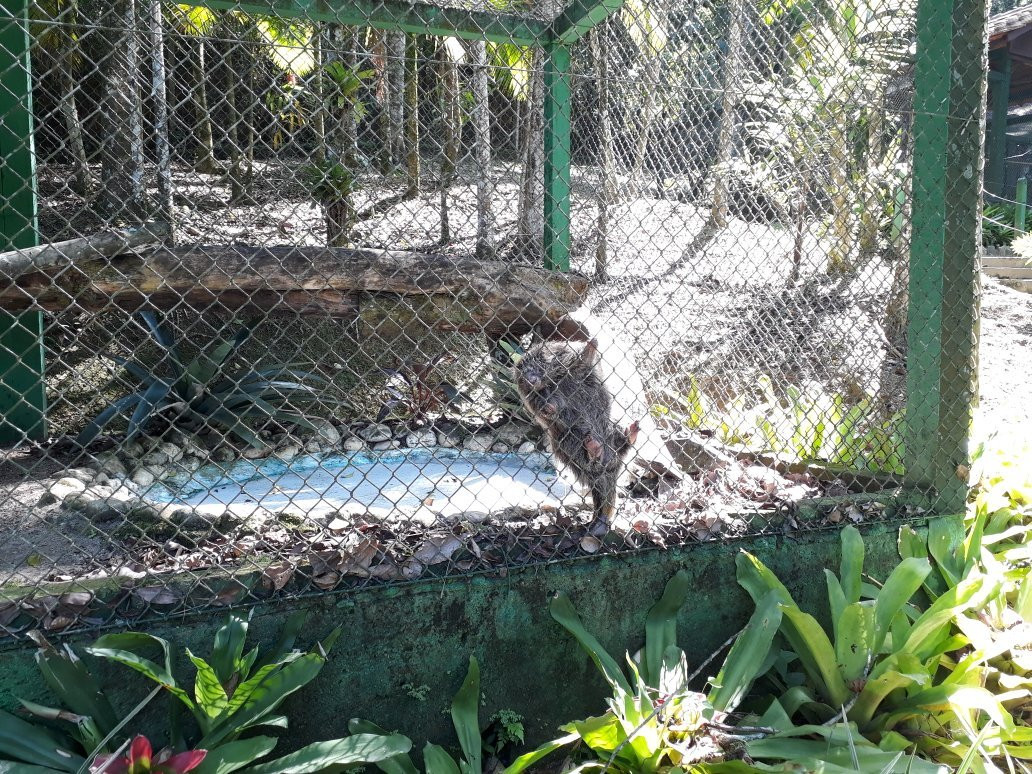Parque Zoobotanico de Brusque-Brusque必去景点