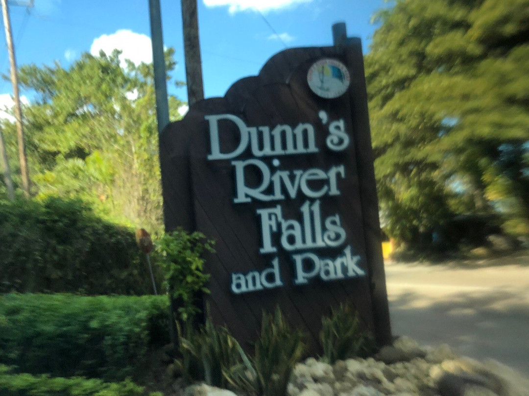 Dunn's River Falls and Park景点图片