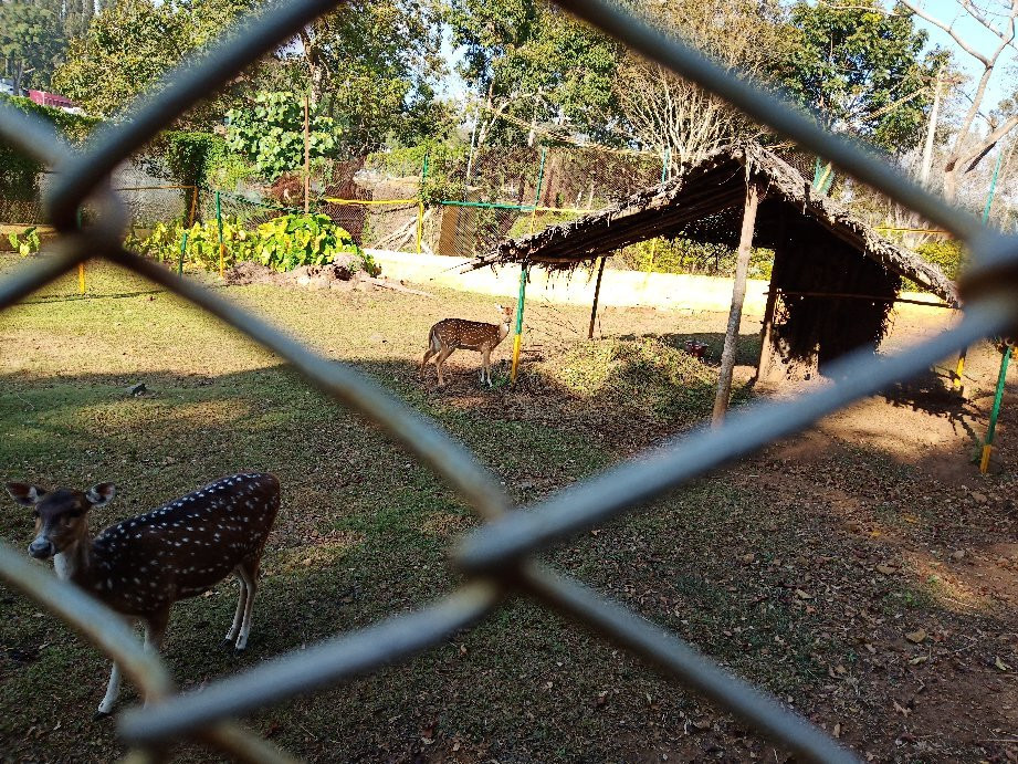 Deer Park-亚尔考德必去景点