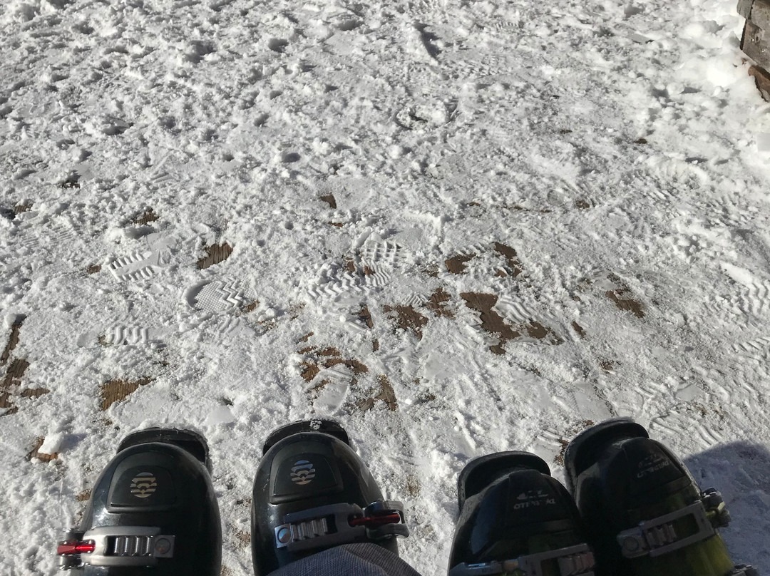 Bled Ski Trips景点图片
