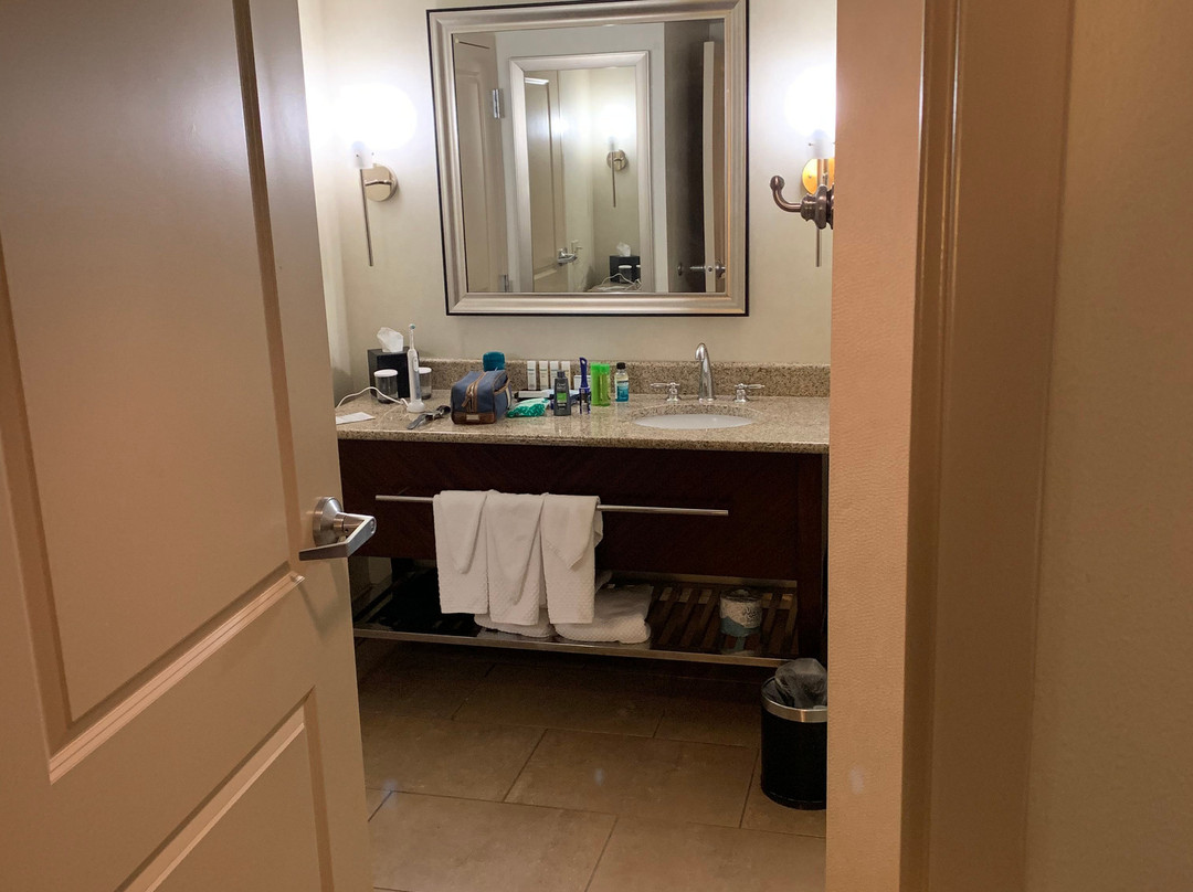 Embassy Suites by Hilton Savannah Airport主图