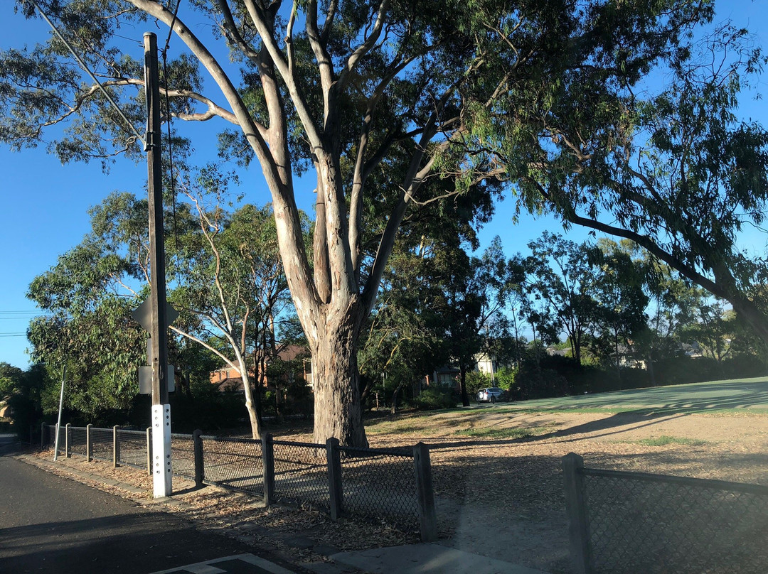 Macleay Park-Balwyn North必去景点