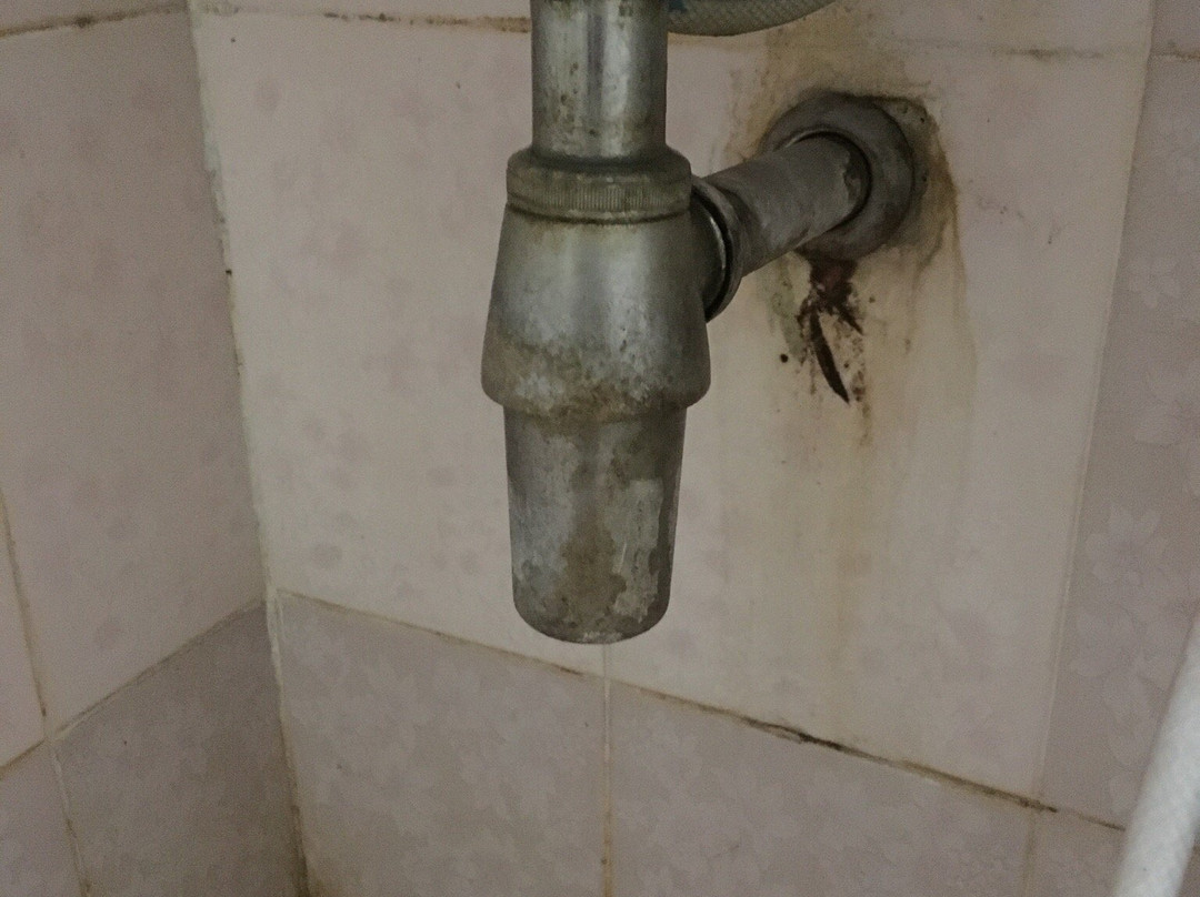 花园宾馆酒店主图