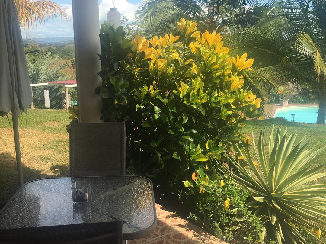 Finca Buena Vista主图