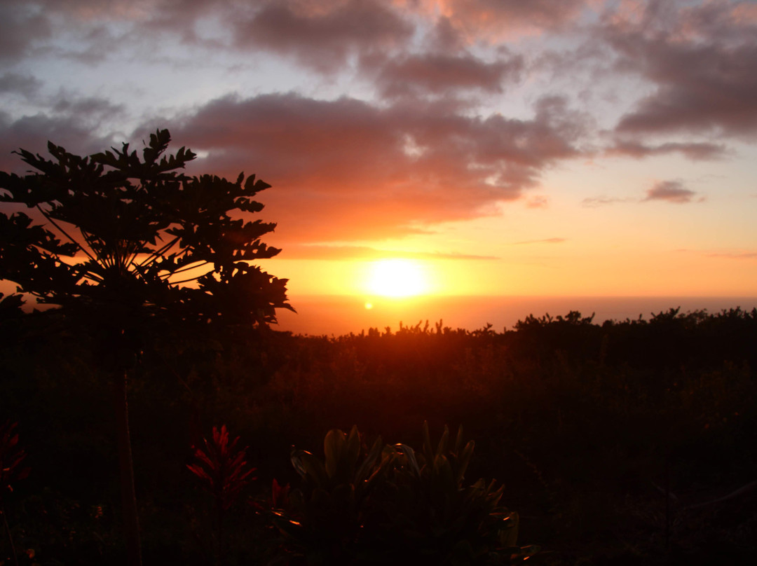 哈尔霍欧拉家庭式酒店主图