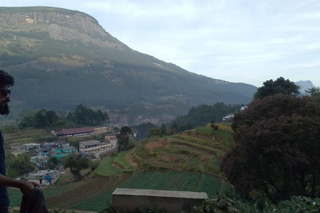 Pampadum Shola National Park-Vattavada必去景点