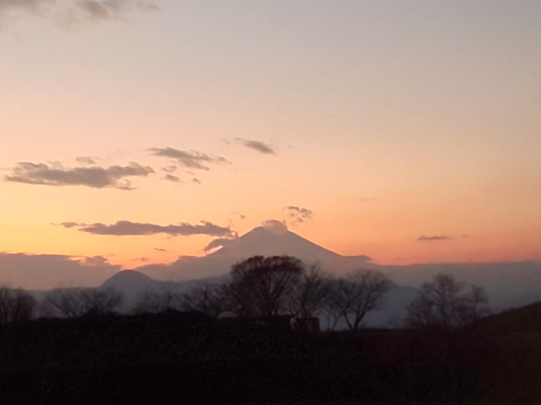 Ikoinomura Ashigara主图