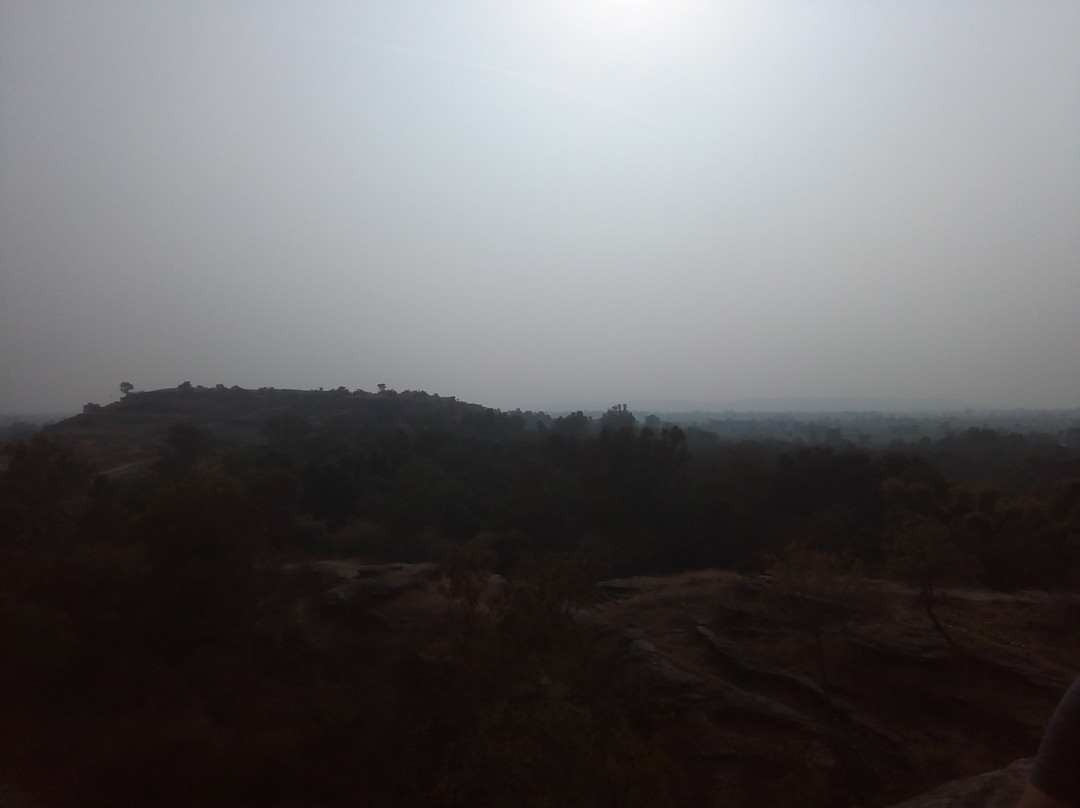 Udayagiri Caves-Vidisha必去景点