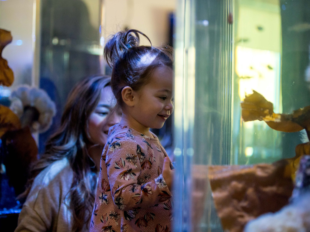 Tidepools Aquarium-吉布森斯必去景点