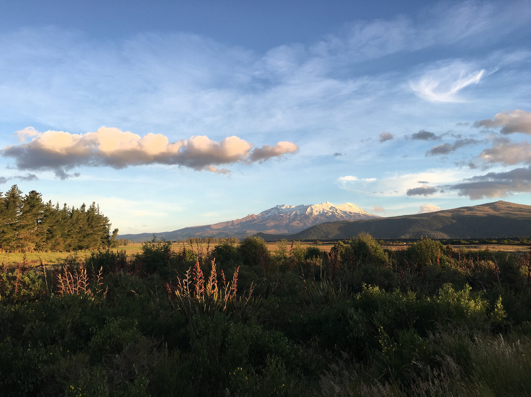 The Park Hotel主图