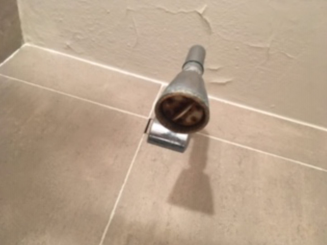 Posada del Bosque Carilo主图