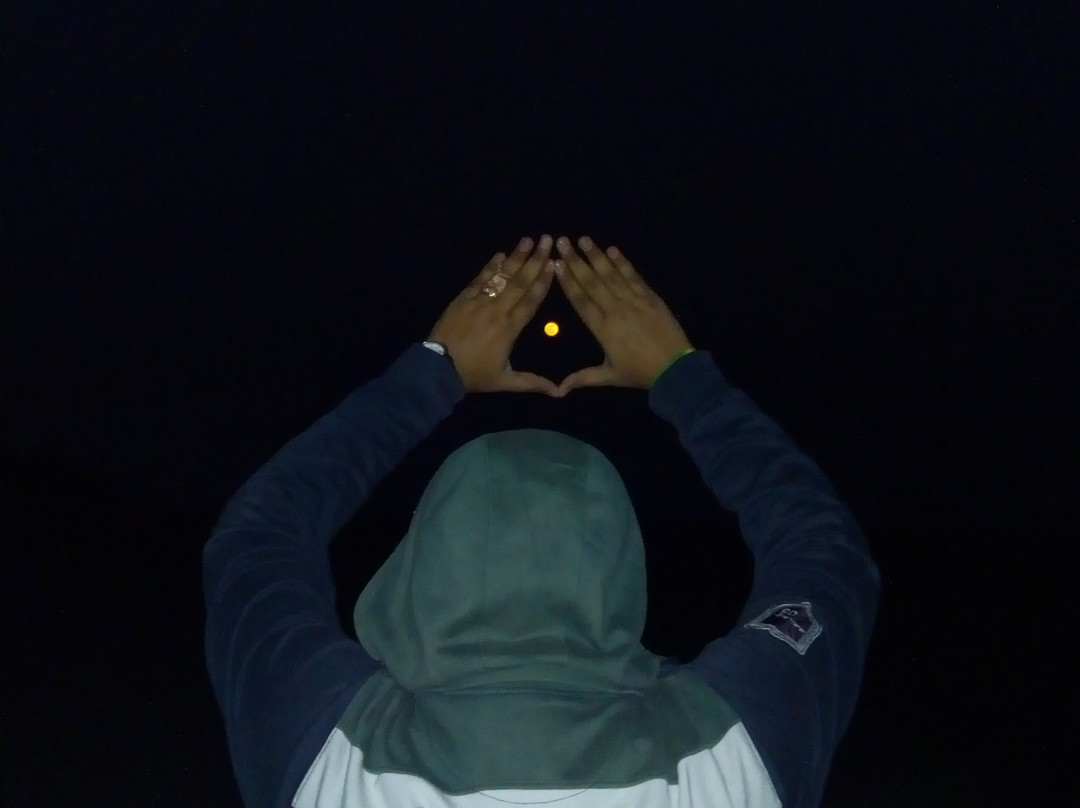 Chandipur Beach-Balasore必去景点