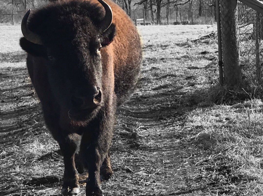 Fleming Park-Independence必去景点