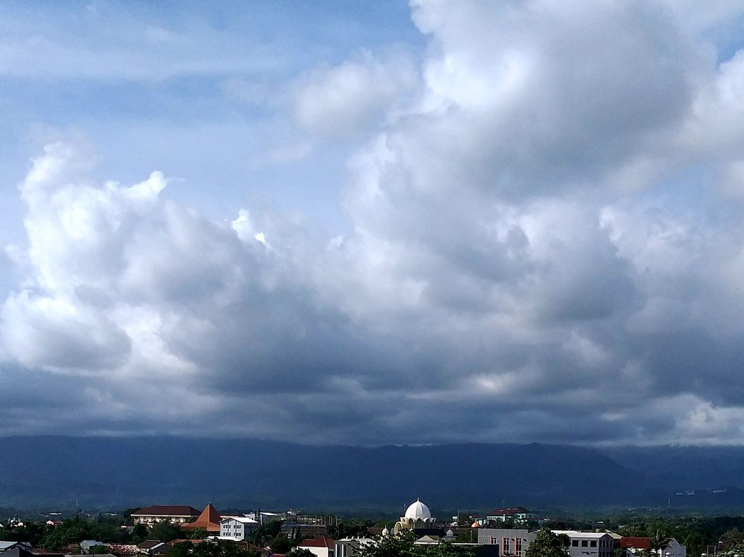 Hotel Wisata Niaga主图