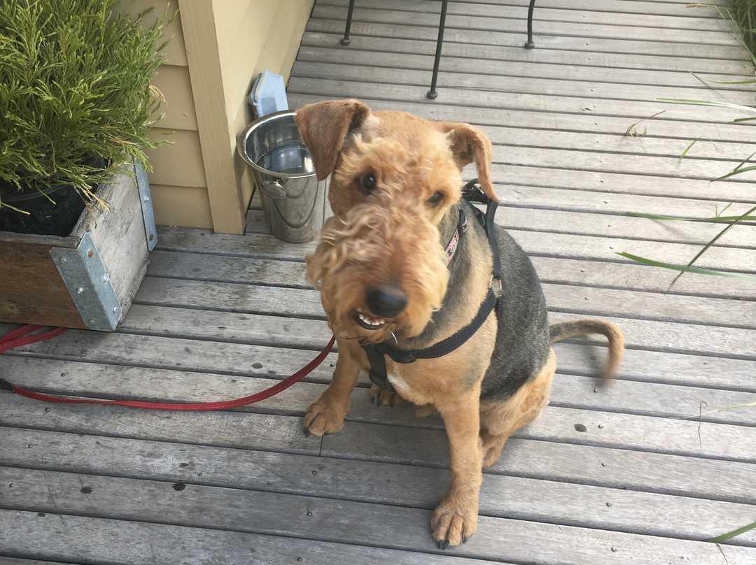 The Cravat Club-Woodend必去景点