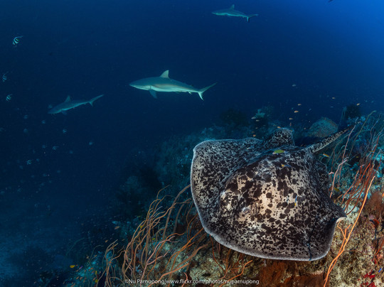 Solitude One-公主港必去景点