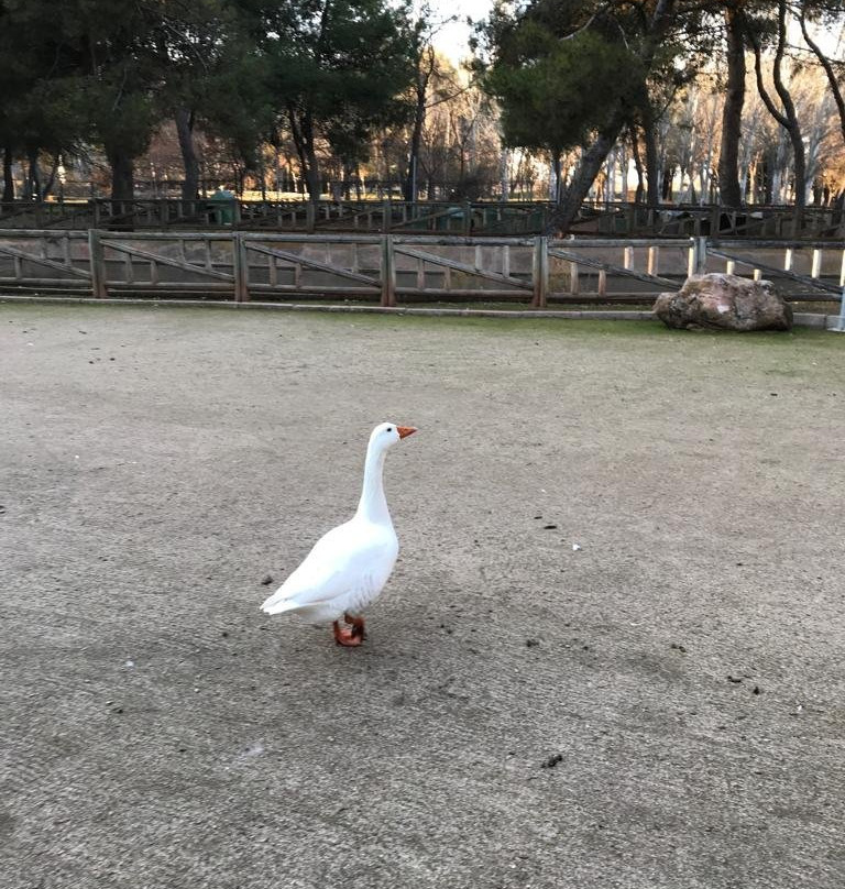 Parque Alces景点图片