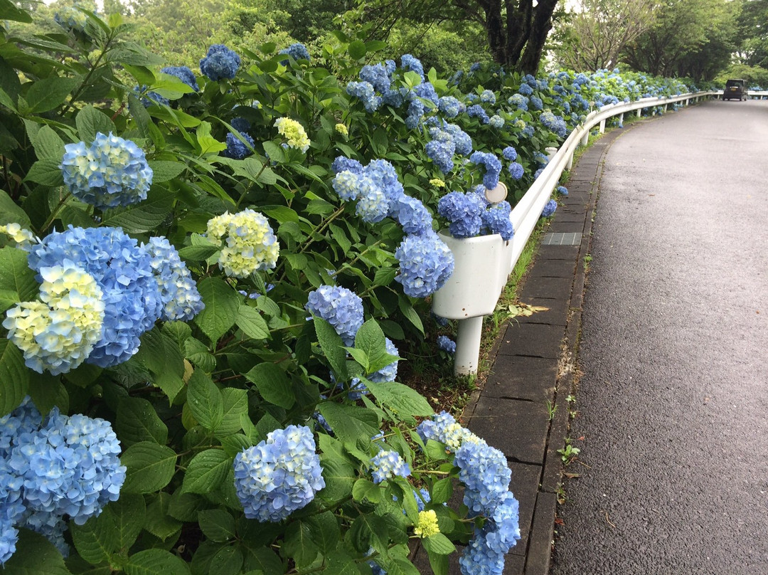 Okuhitachi Kirara no Sato-日立市必去景点