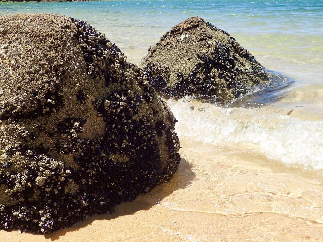 New Zealand I Drive-莫图伊卡必去景点