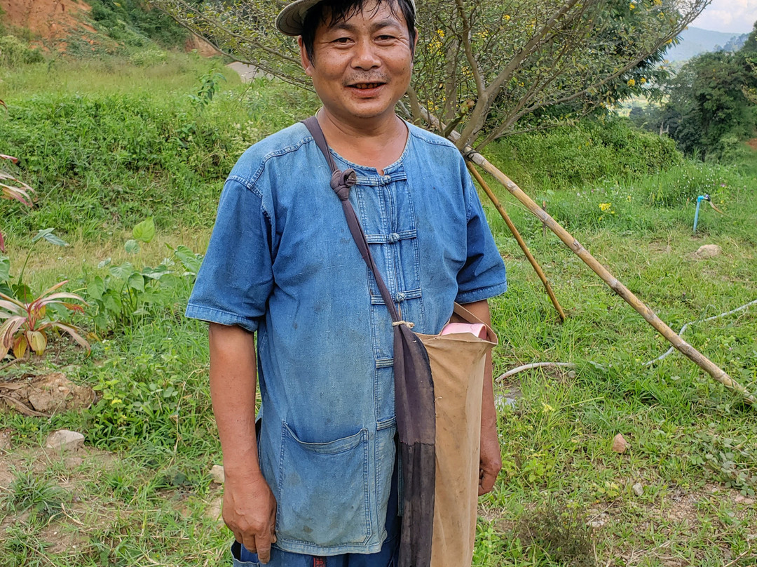 Pong Yang Elephant Camp-夜林必去景点