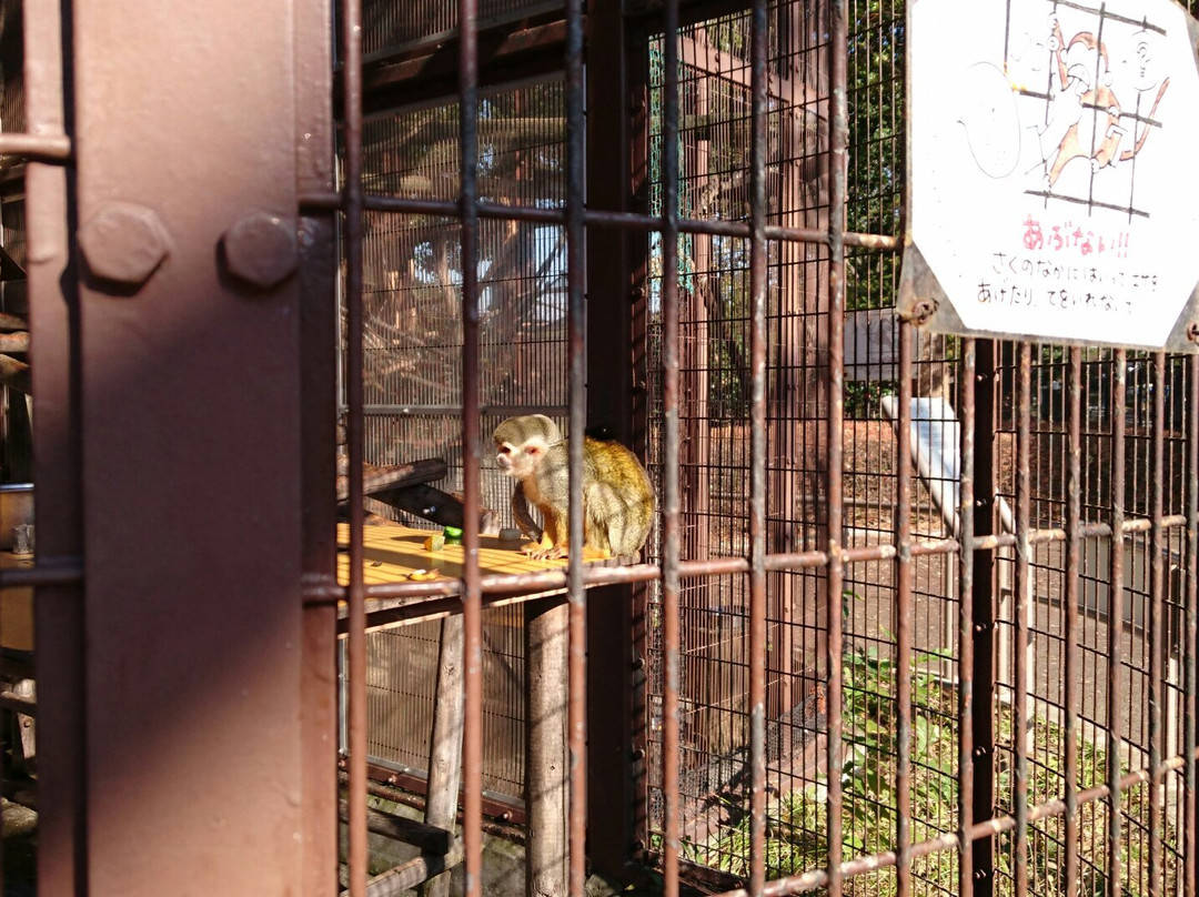 Hiratsuka Comprehensive Park Petting Zoo-平冢市必去景点