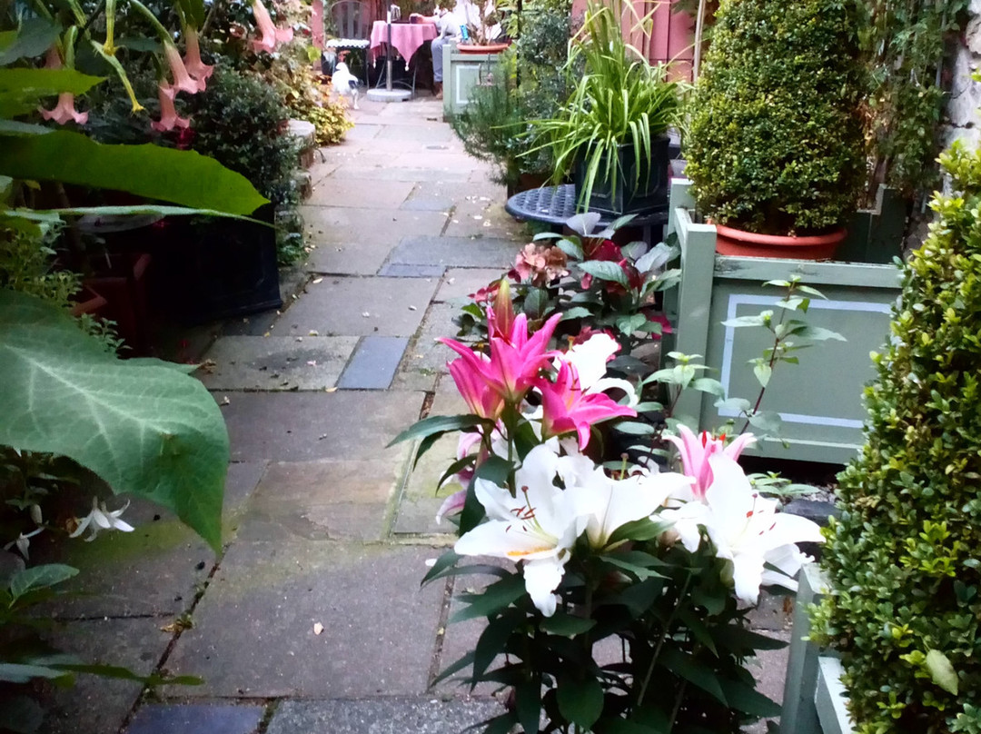 Fir Grove Country House主图